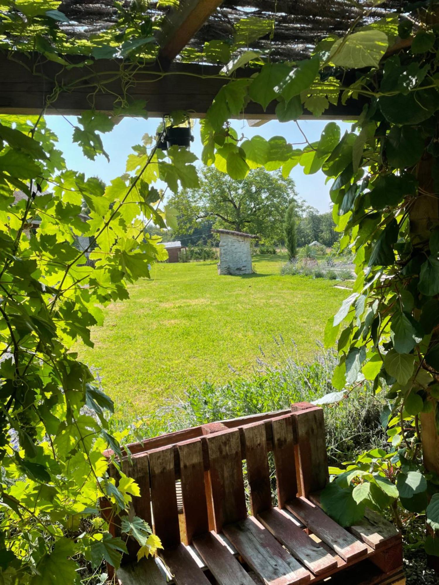 Delightful French Rustic Studio Jumilhac-le-Grand エクステリア 写真