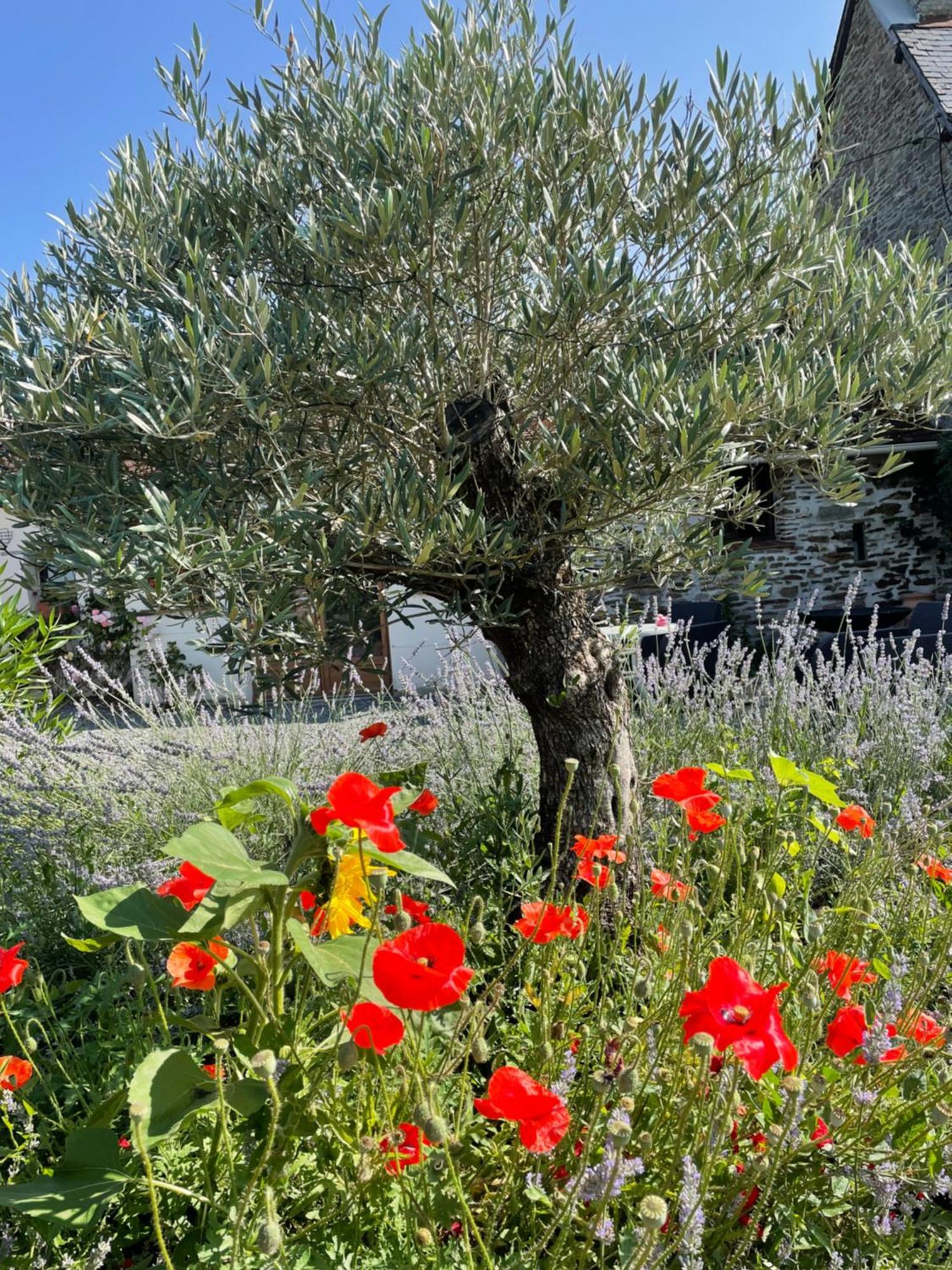 Delightful French Rustic Studio Jumilhac-le-Grand エクステリア 写真