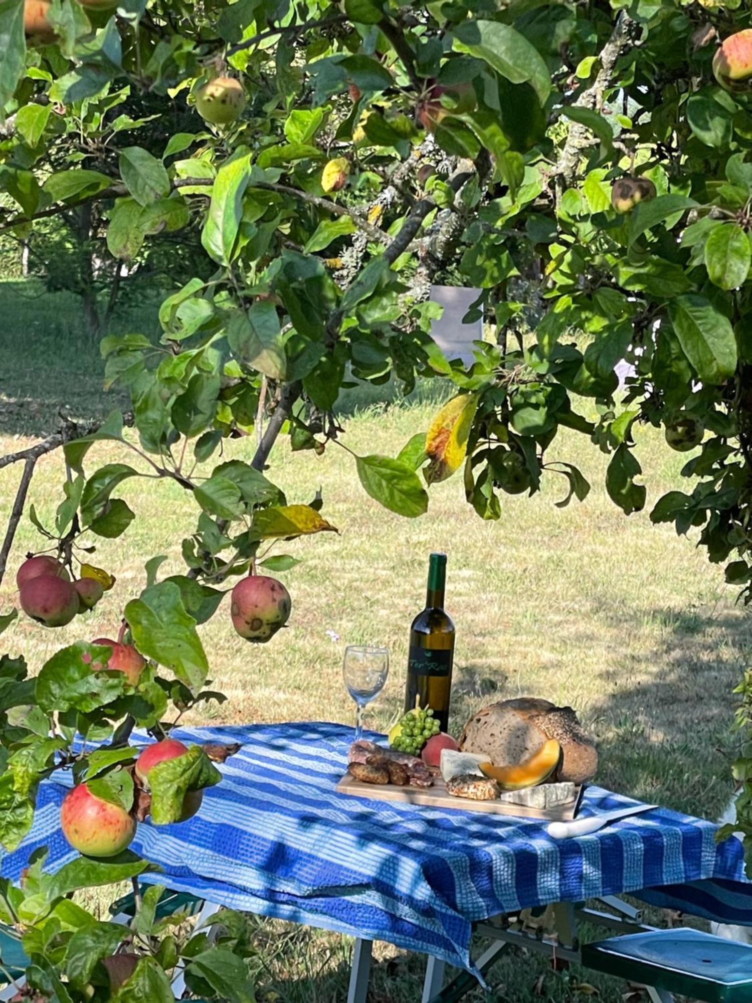 Delightful French Rustic Studio Jumilhac-le-Grand エクステリア 写真